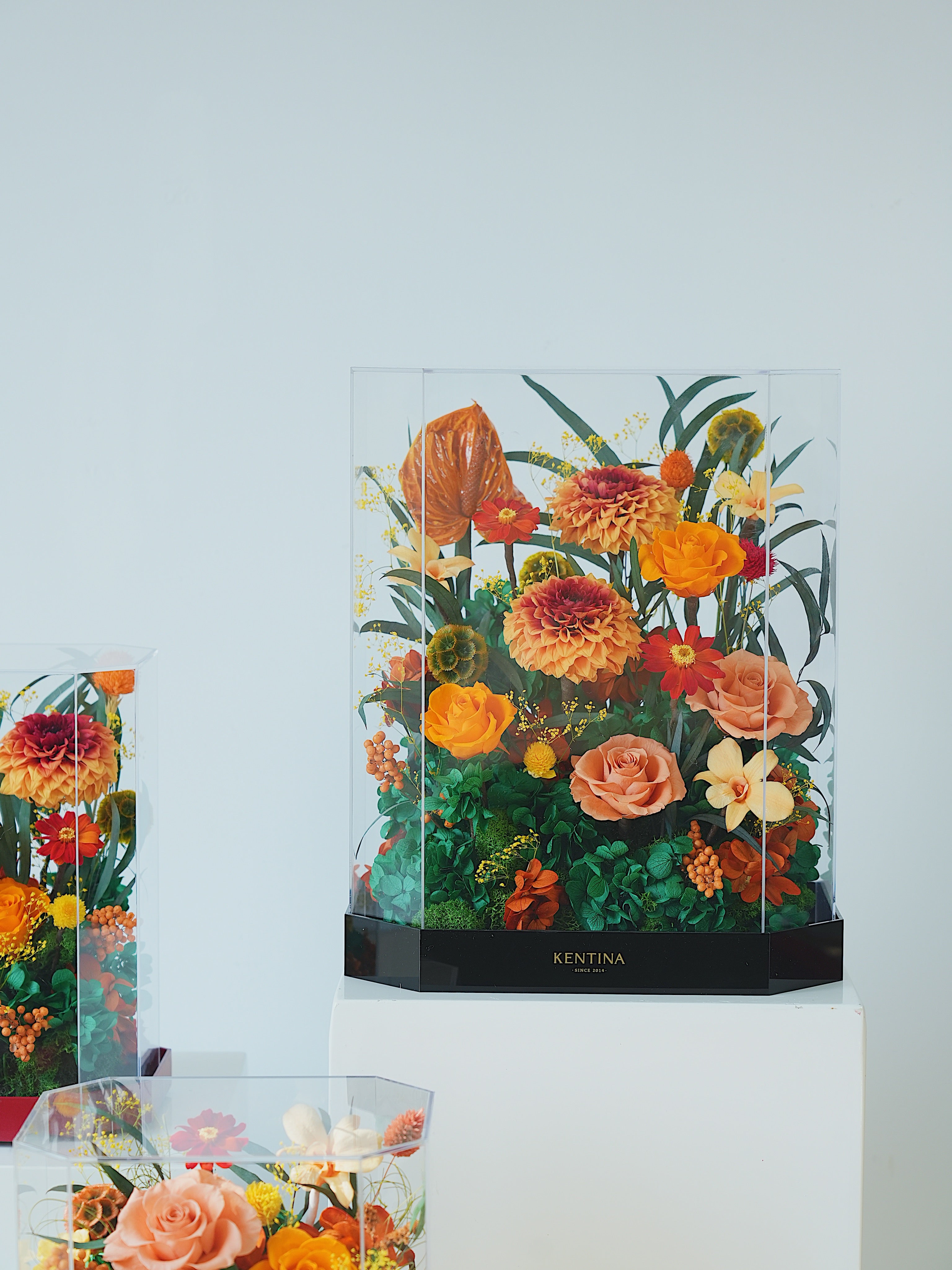 Signature JP200 — Miyabi Octagon Collection