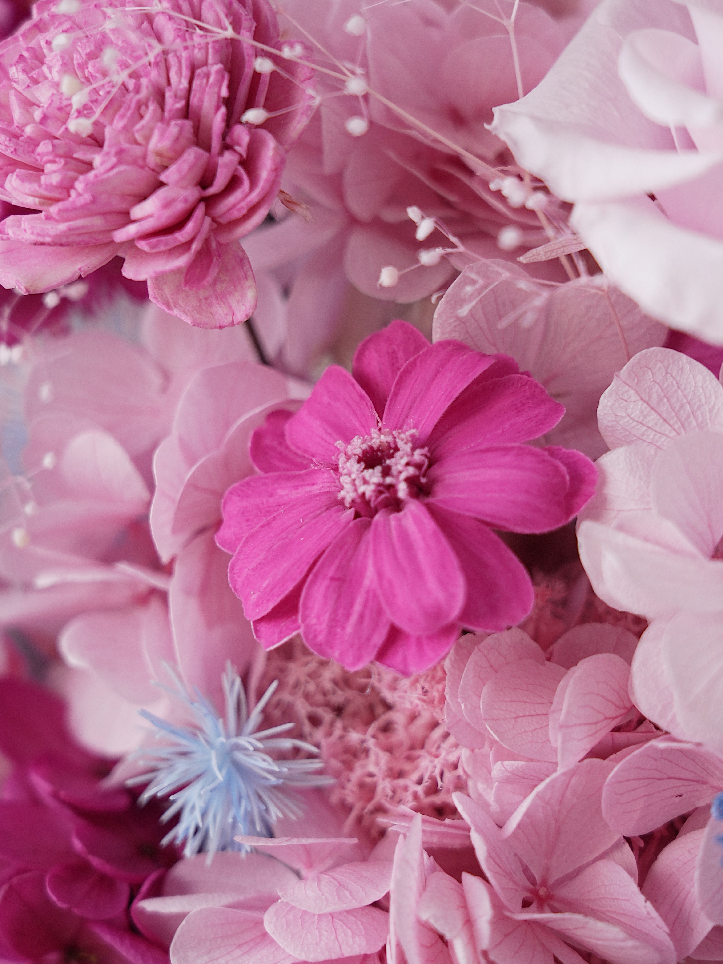 Signature JP200 — Miyabi Octagon Collection