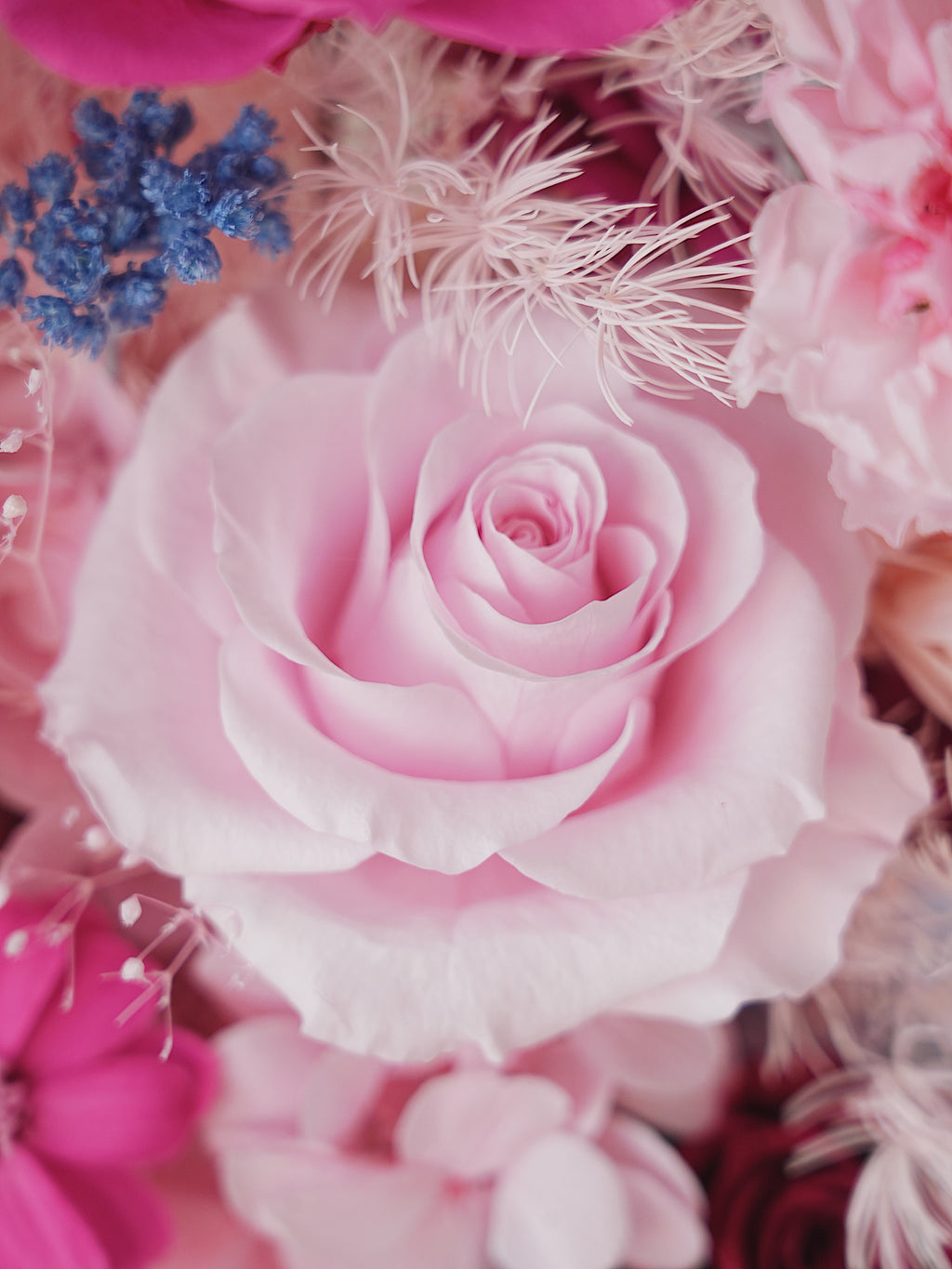 Signature JP200 — Miyabi Octagon Collection