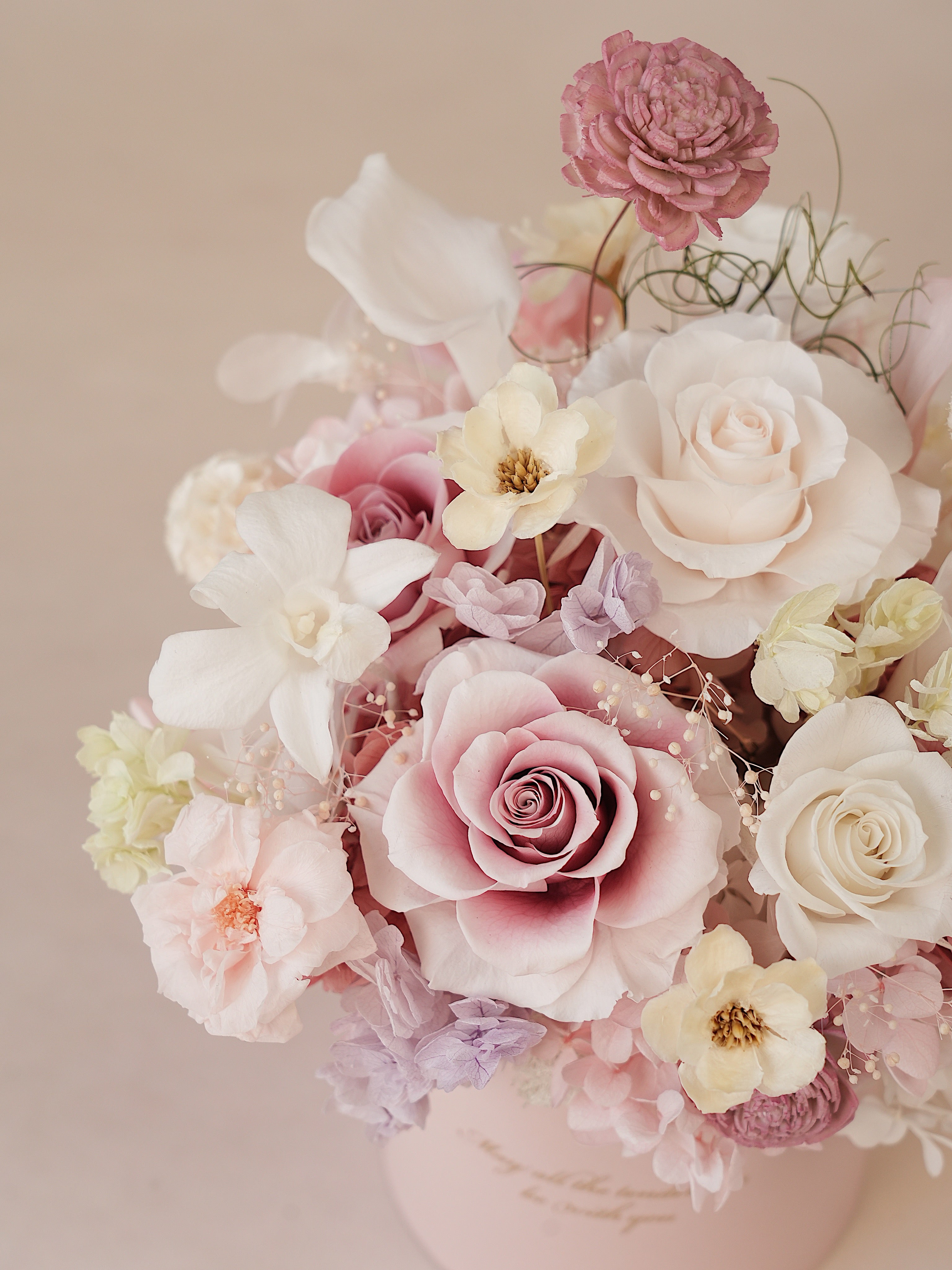 Signature JP100 — Whispered Blush