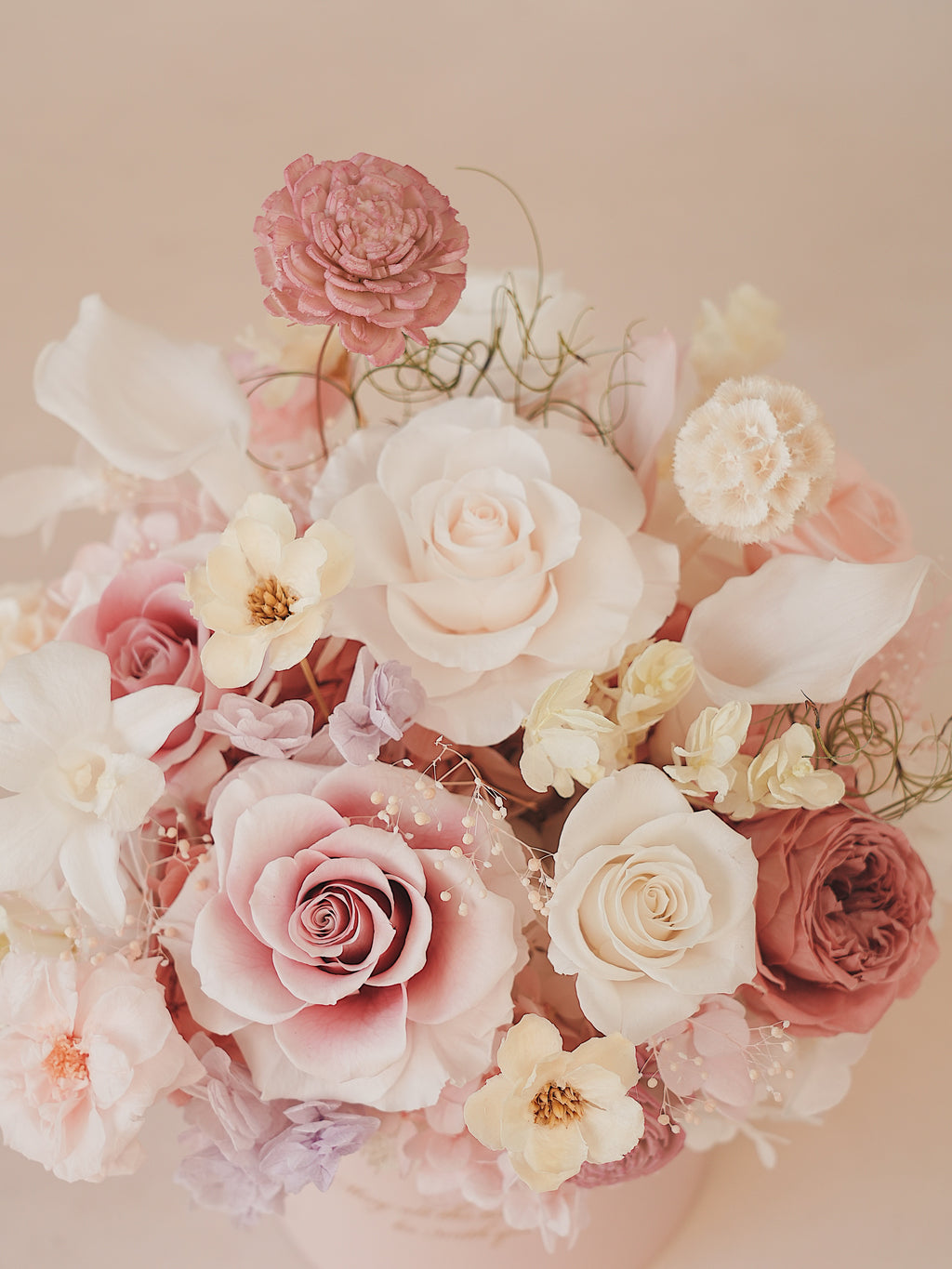 Signature JP100 — Whispered Blush