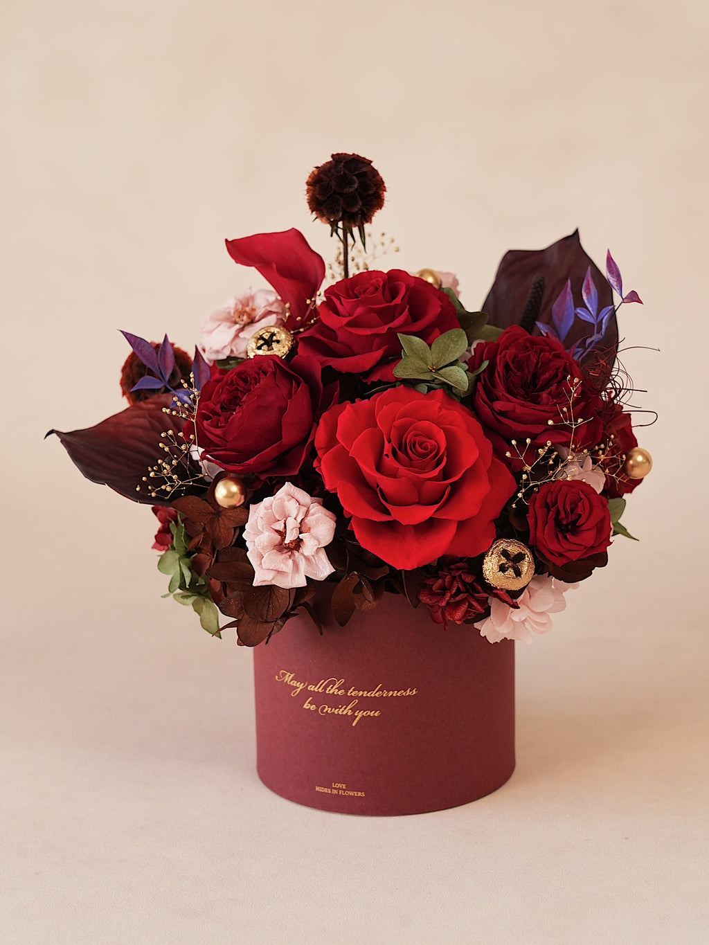 Signature JP100 — Miyabi Embrace Collection