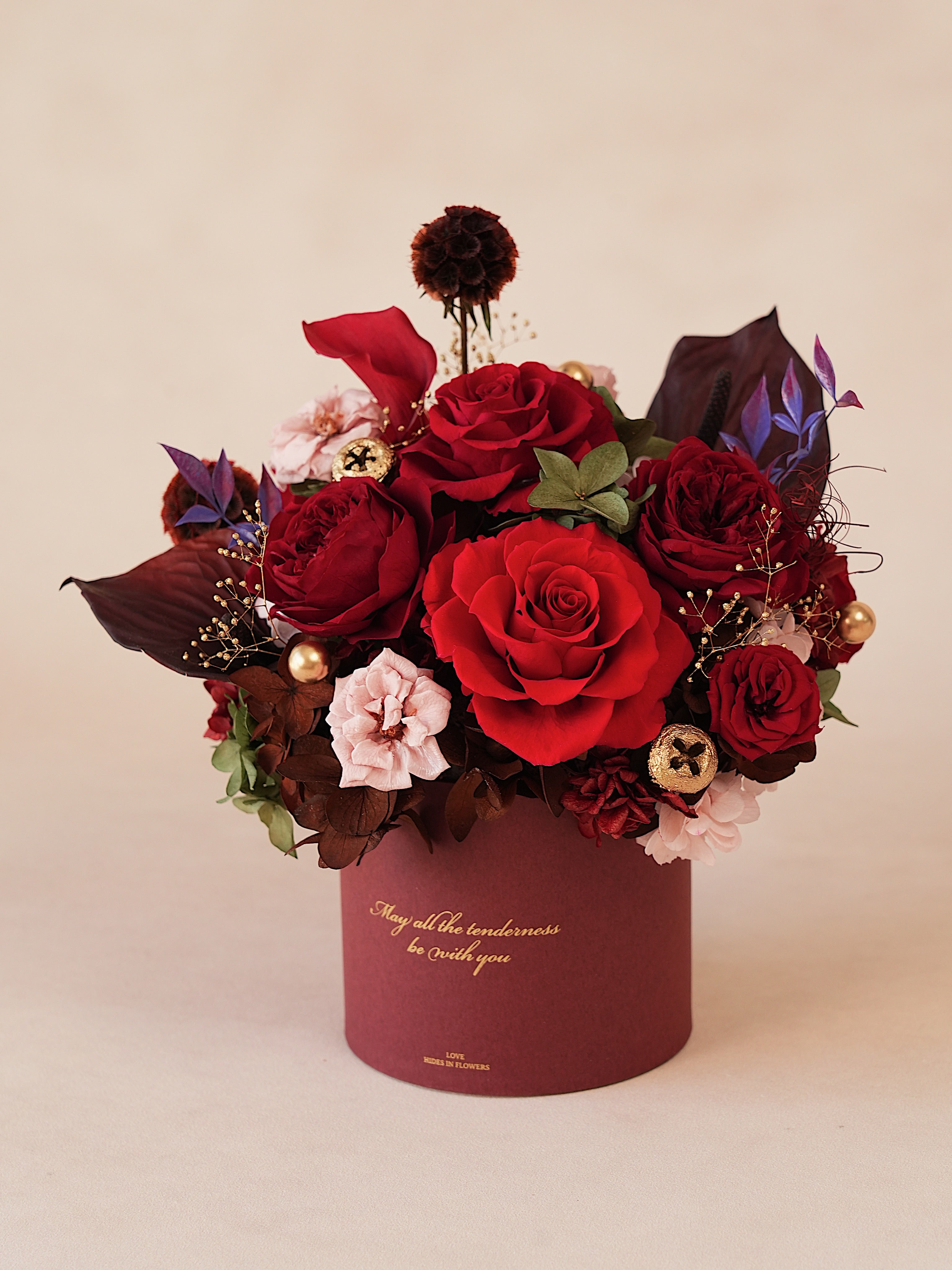 Signature JP100 — Miyabi Embrace Collection