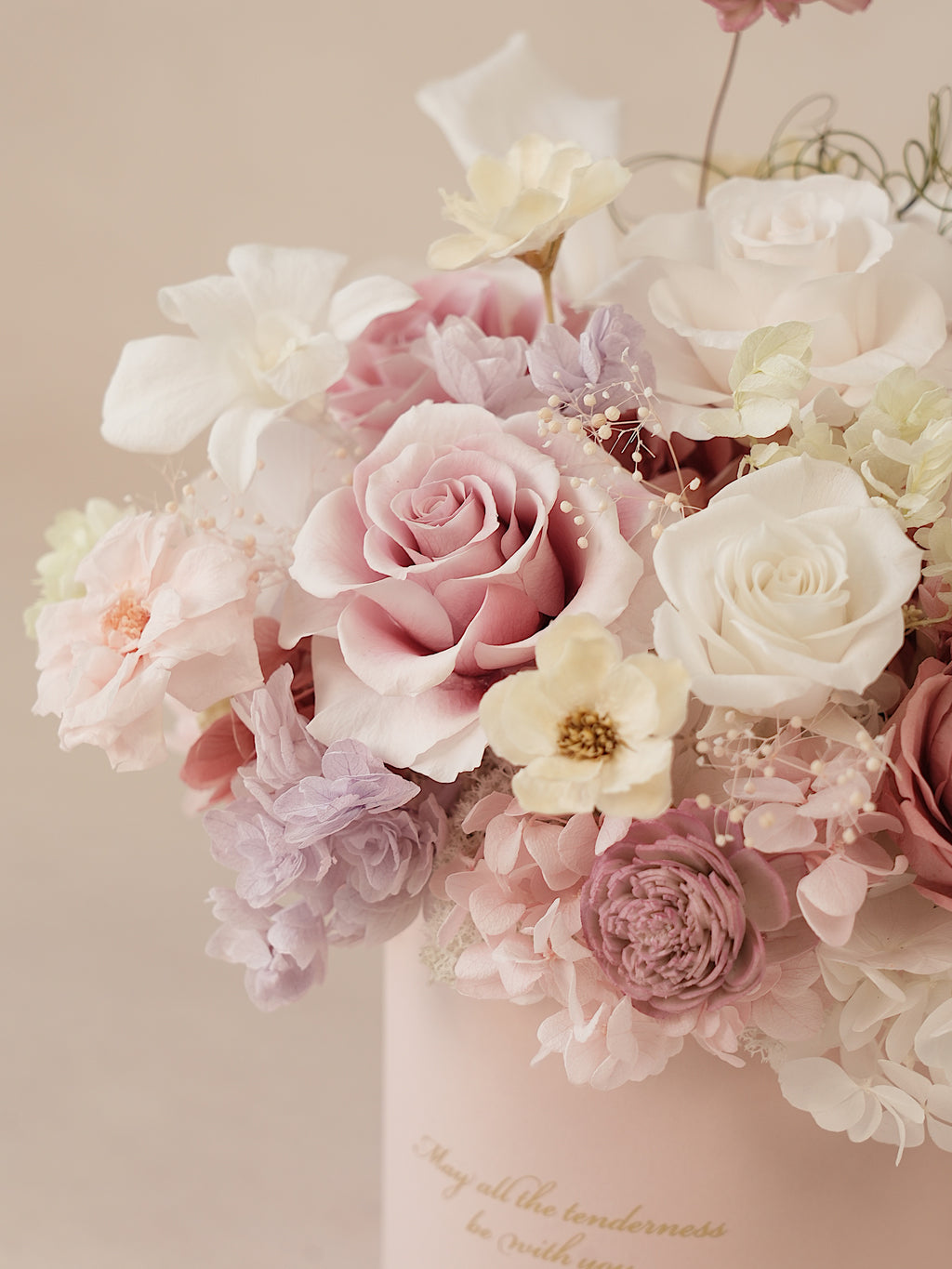 Signature JP100 — Whispered Blush