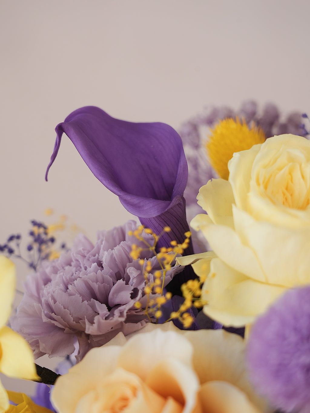 Signature JP100 — Miyabi Embrace Collection