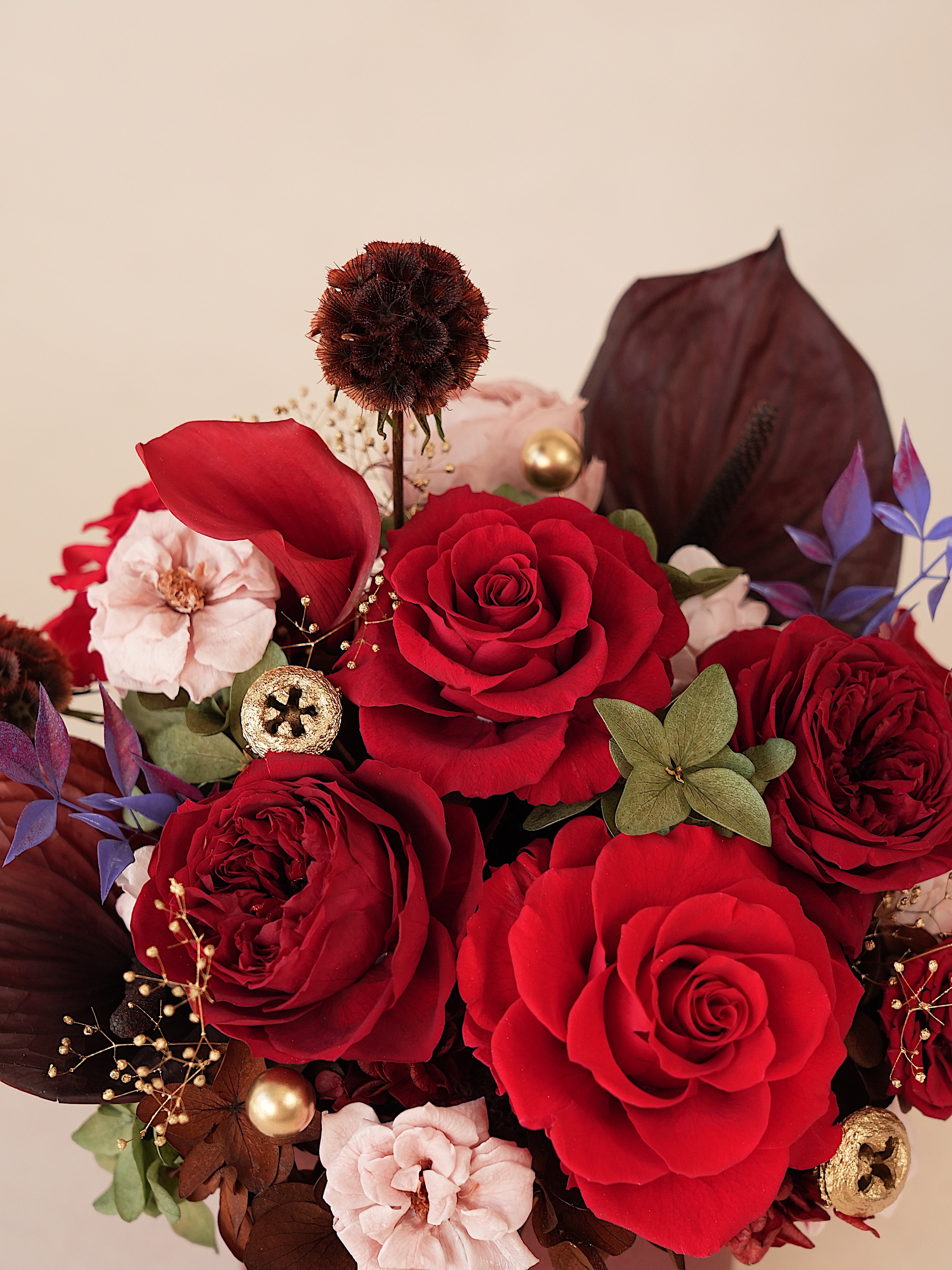 Signature JP100 — Crimson Oath