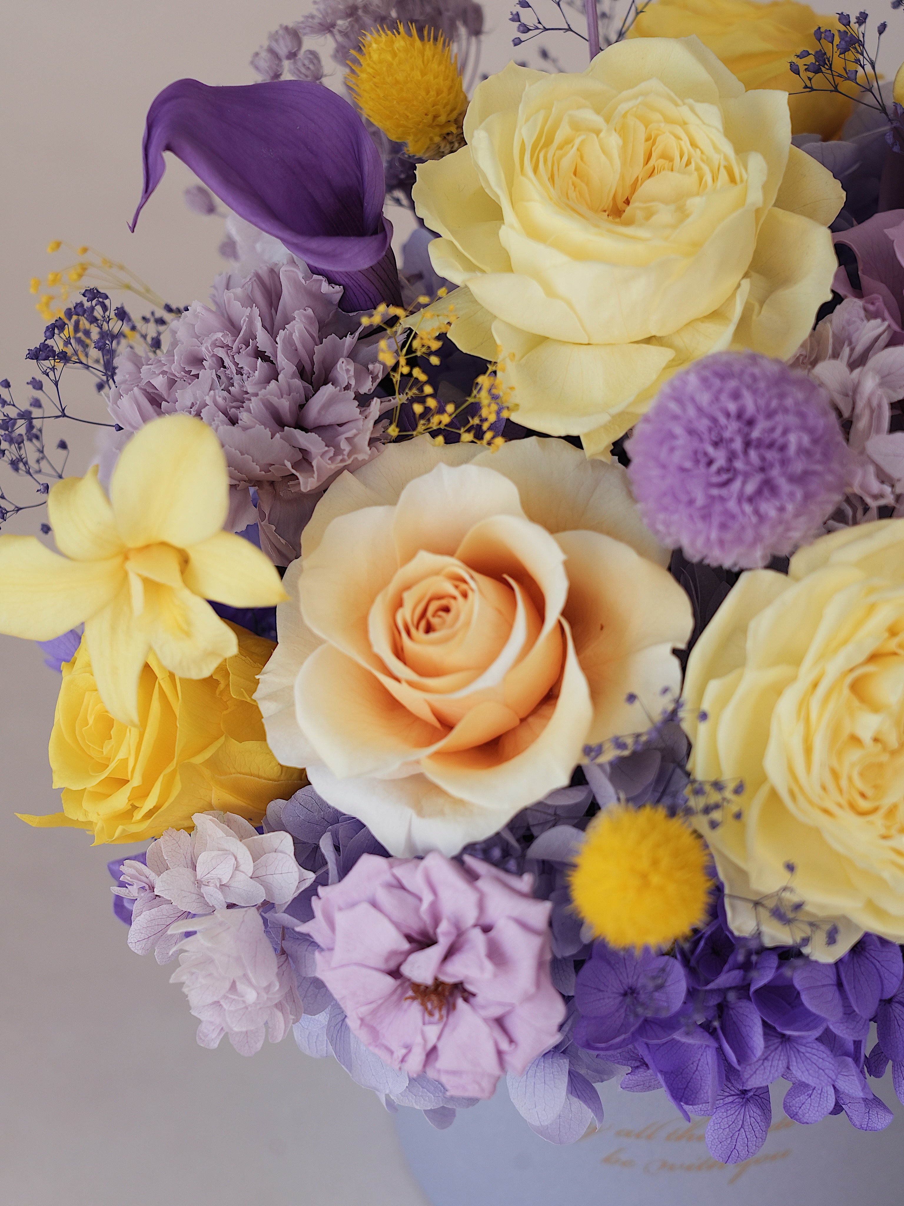 Signature JP100 — Sunlit Amethyst