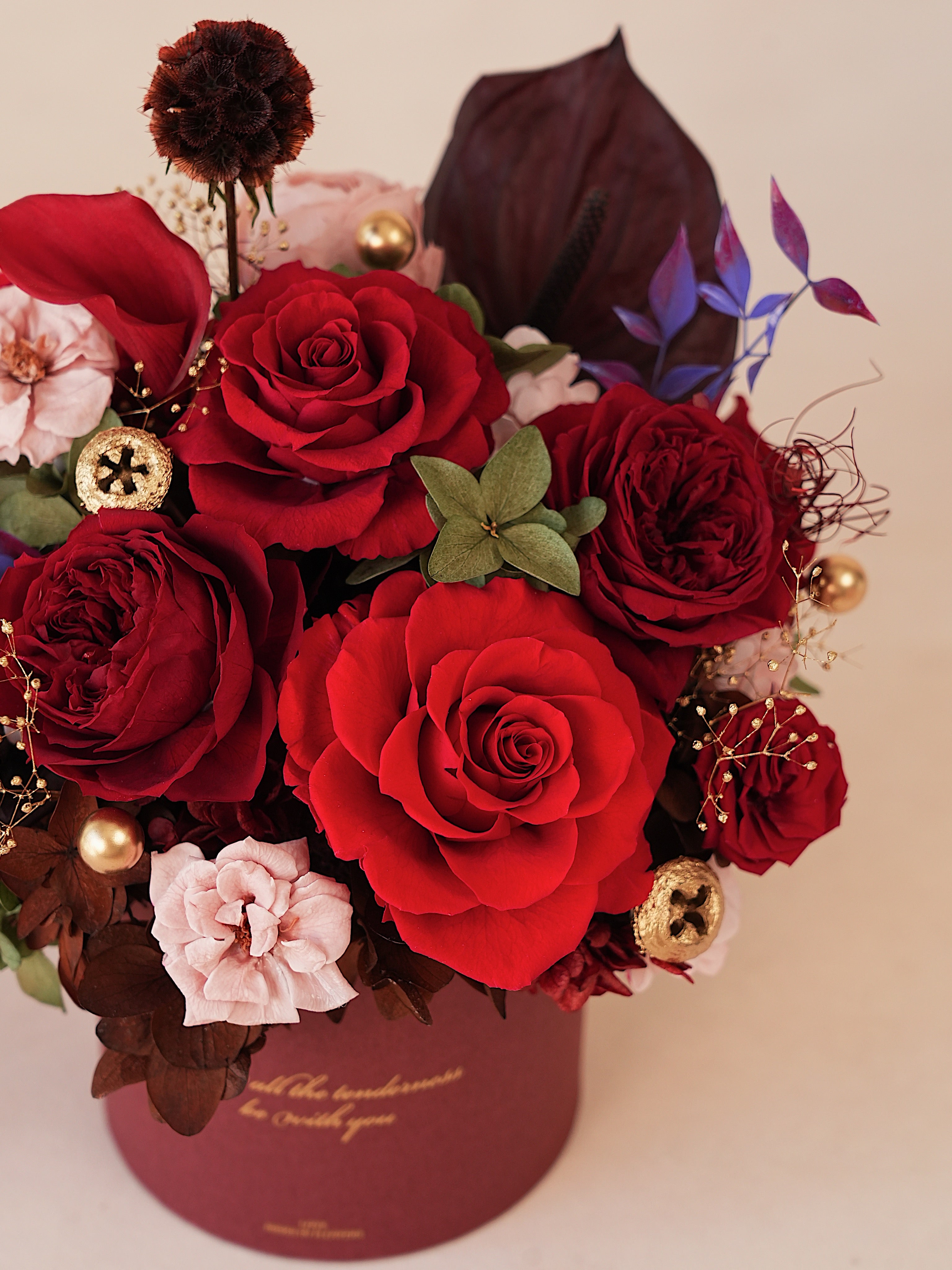 Signature JP100 — Crimson Oath