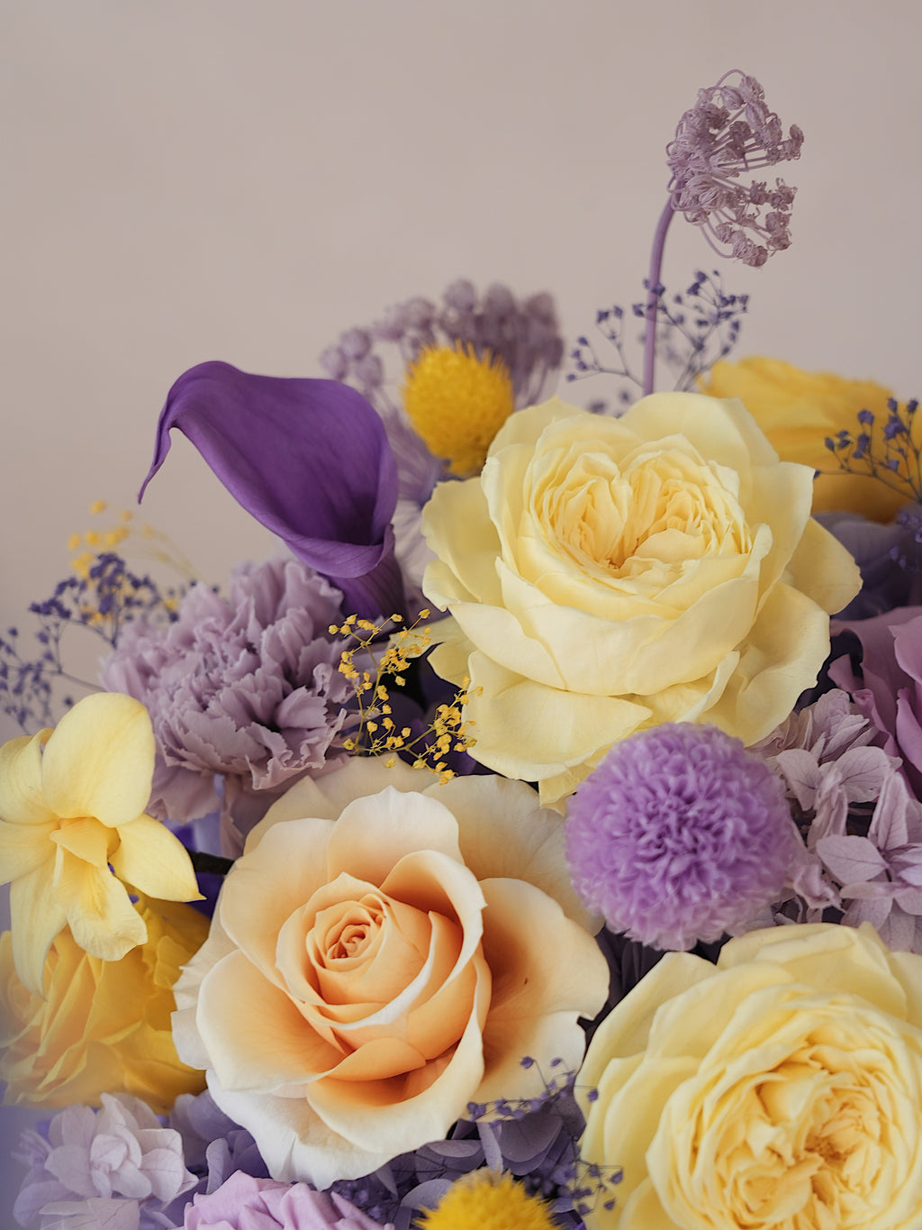 Signature JP100 — Sunlit Amethyst