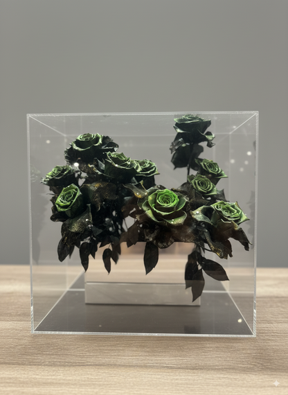 Test Series 3